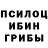 Псилоцибиновые грибы GOLDEN TEACHER Edige A