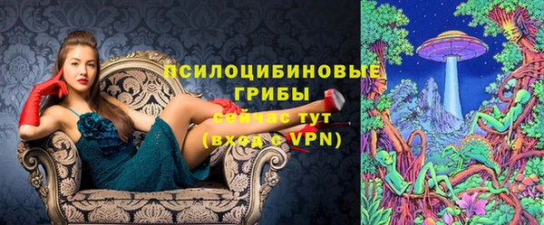 мет Гусев