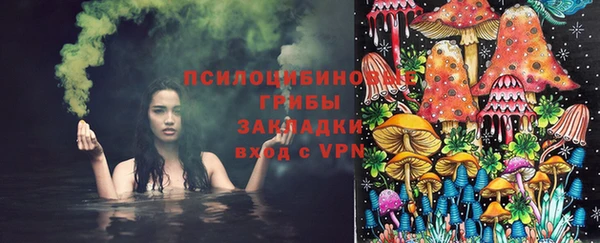 кристаллы Гусь-Хрустальный