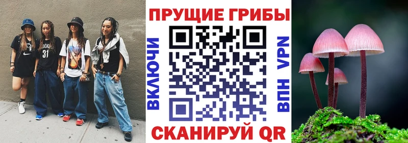 Галлюциногенные грибы GOLDEN TEACHER  Купить закладки  Ардатов 